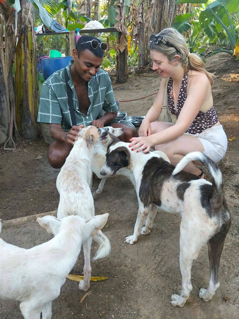 Volunteer helping rescued dogs